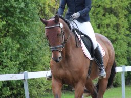 IMG_0270_web